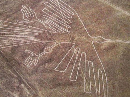 la linea de nazca