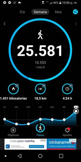 StepsApp Pedometer