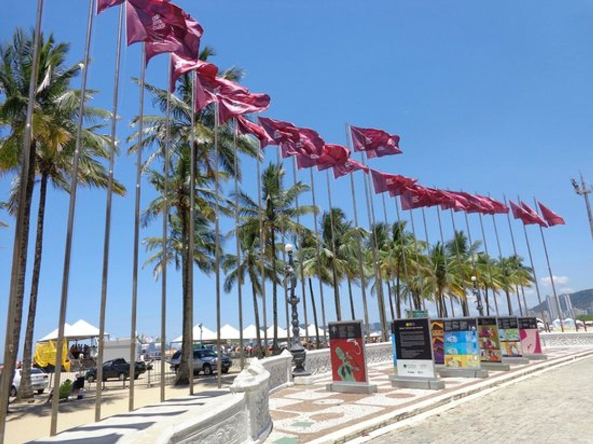Place Gonzaga