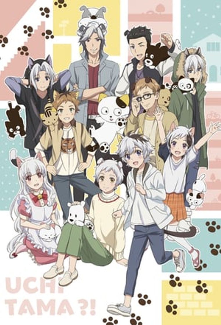 Serie Uchi Tama?! Uchi no Tama Shirimasen ka?
