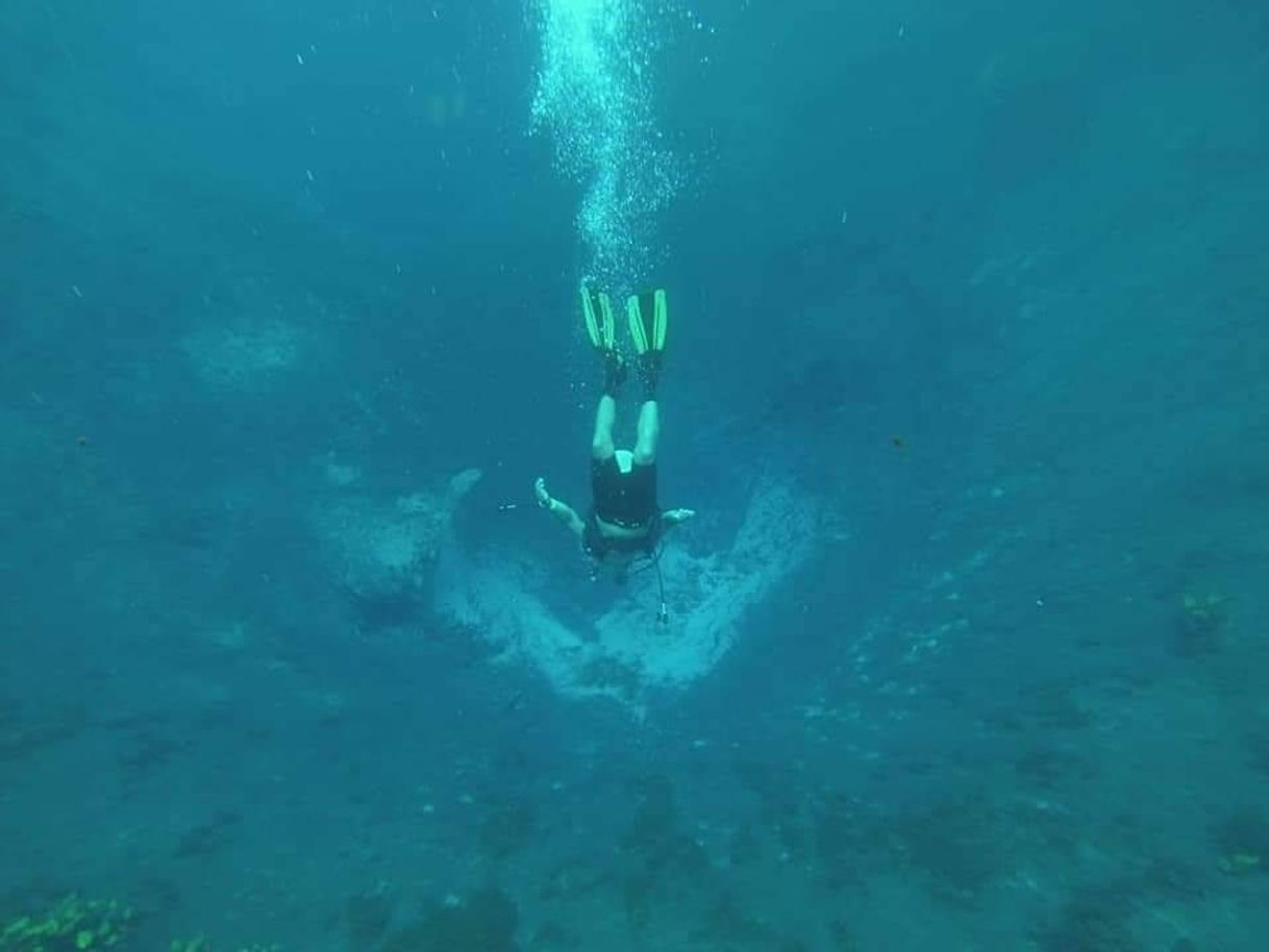 Place Puerto Vallarta