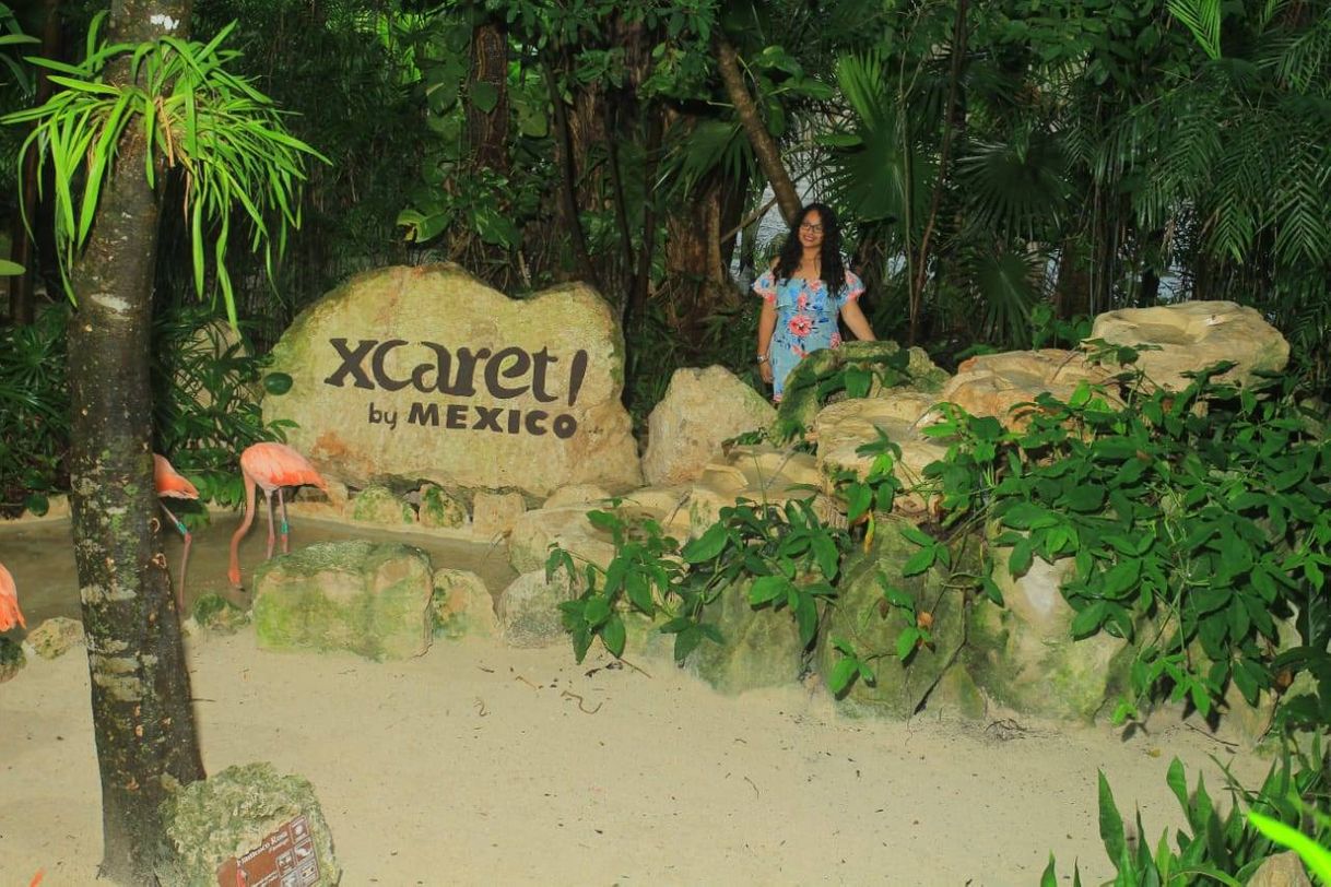 Place XCARET