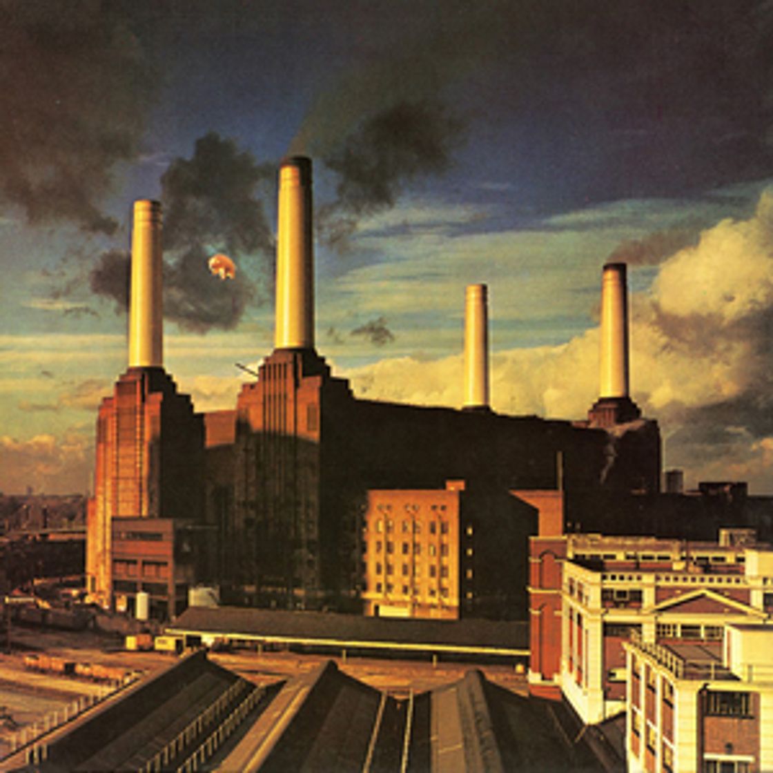 Fashion Animals - Pink Floyd