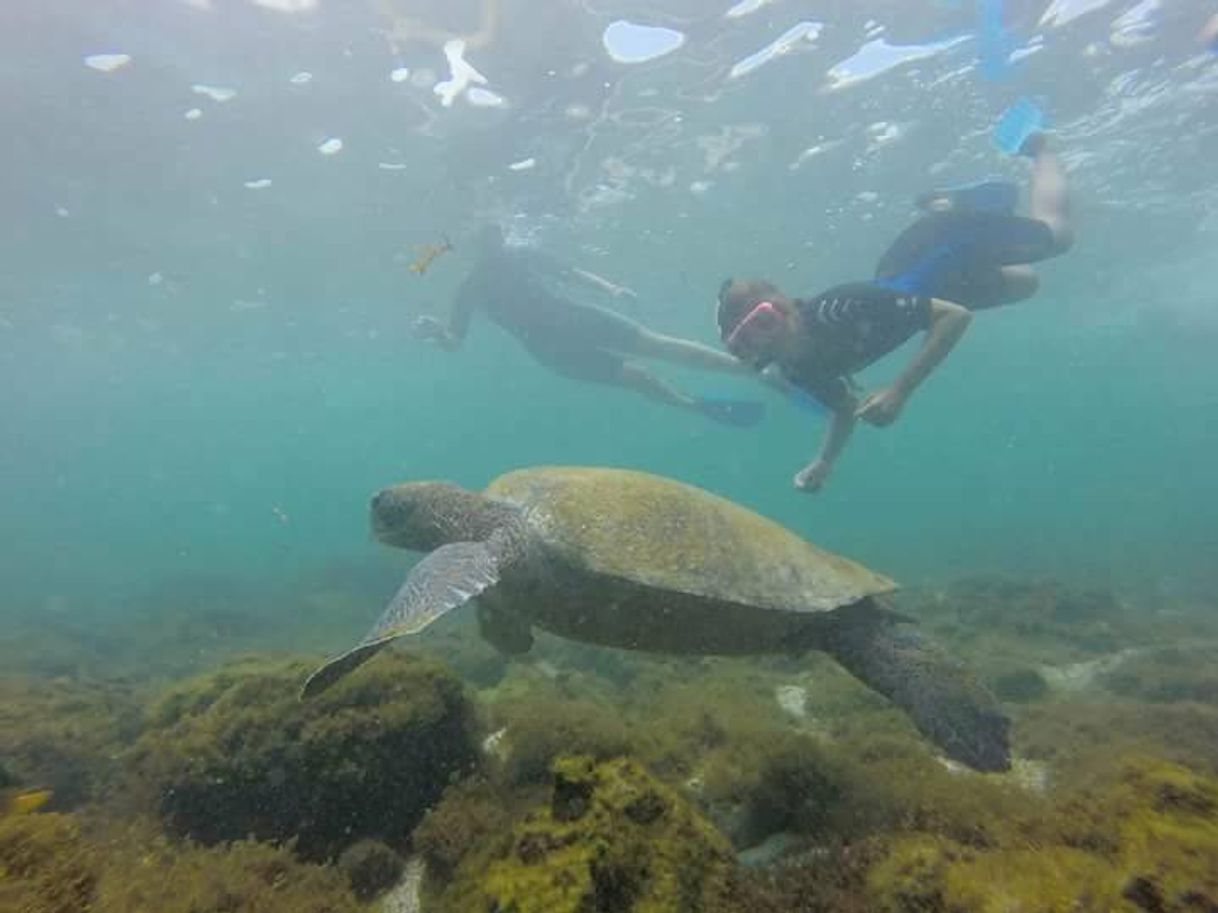 Lugar Galapagos