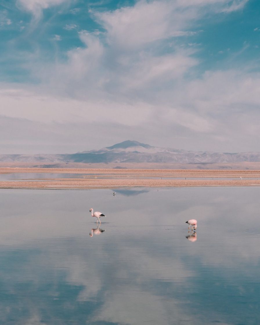 Lugar San Pedro de Atacama