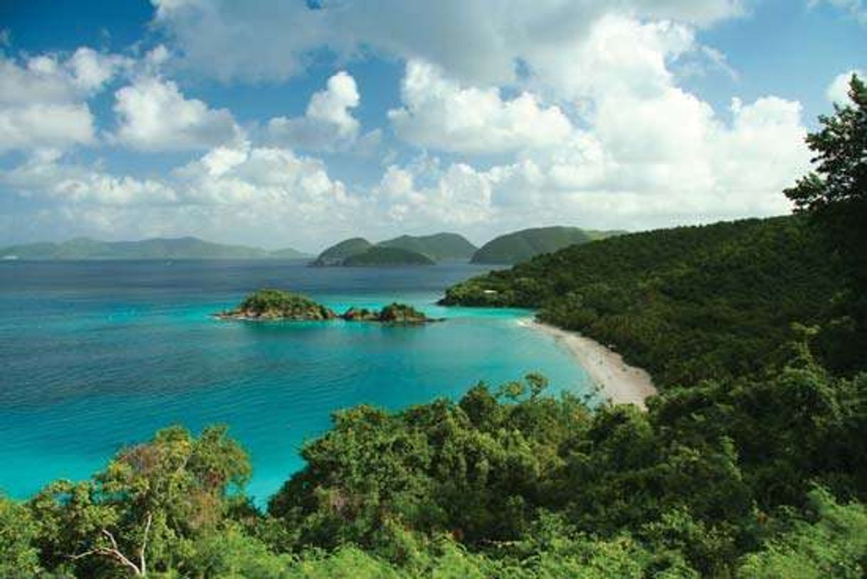 Lugar Trunk Bay