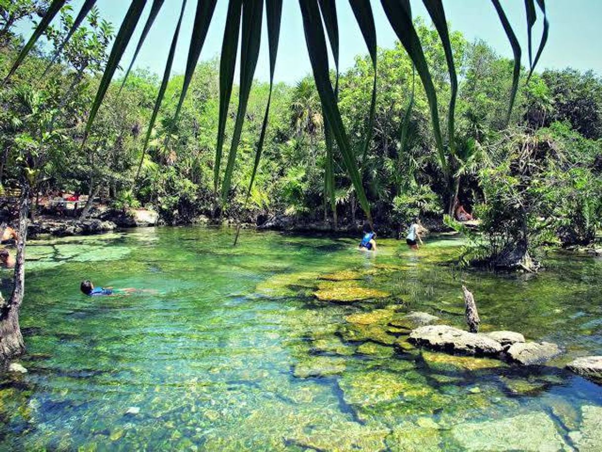 Place Cenote Azul