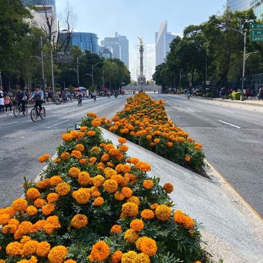 Avenida Paseo de la Reforma