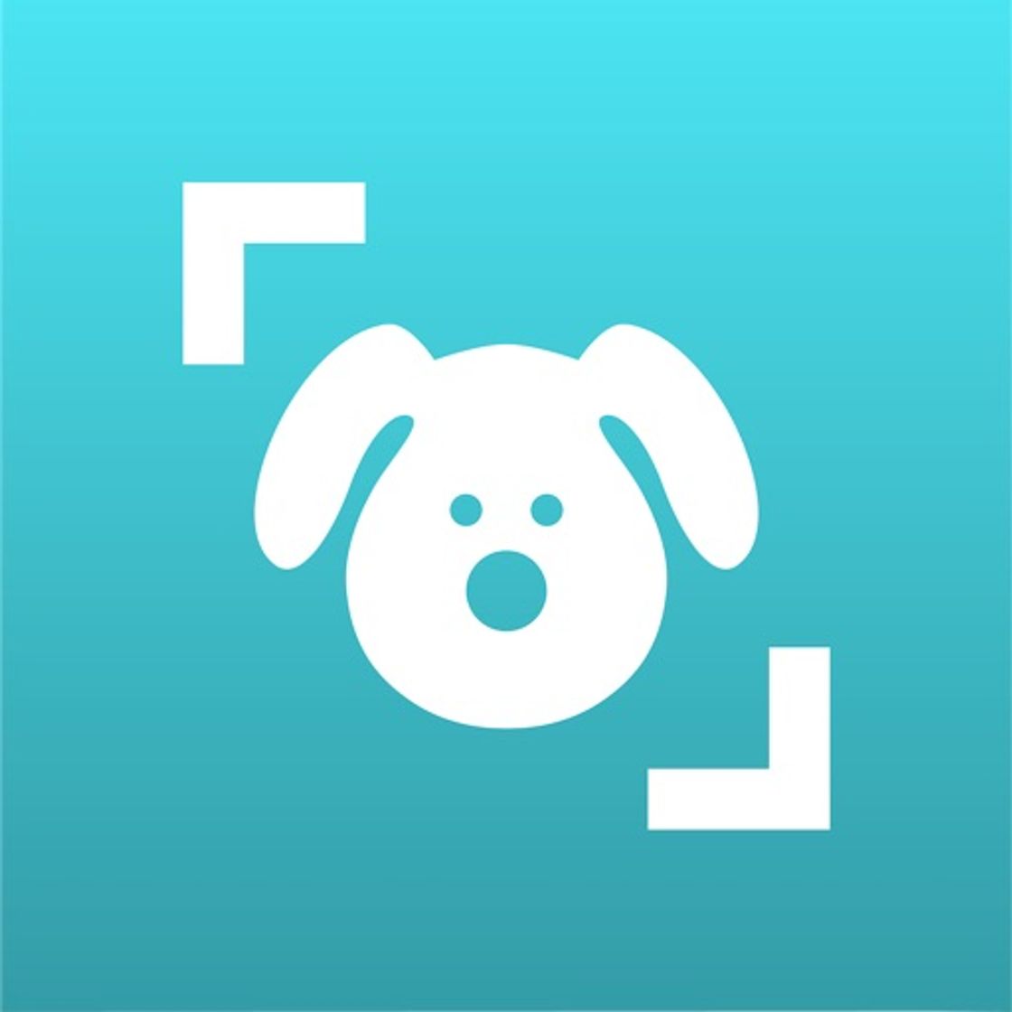 App Dog Scanner