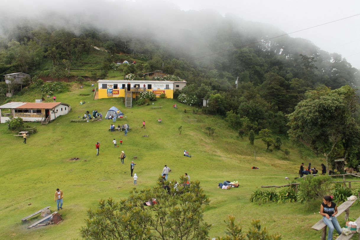 Lugar El Pital Bosque Nebuloso