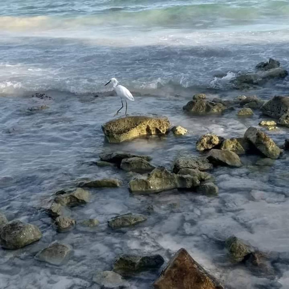 Lugar Barceló Maya Beach