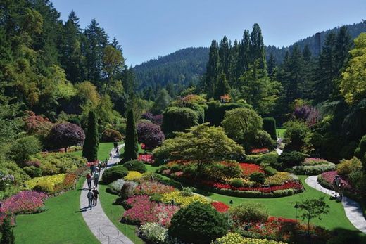 Butchart Gardens