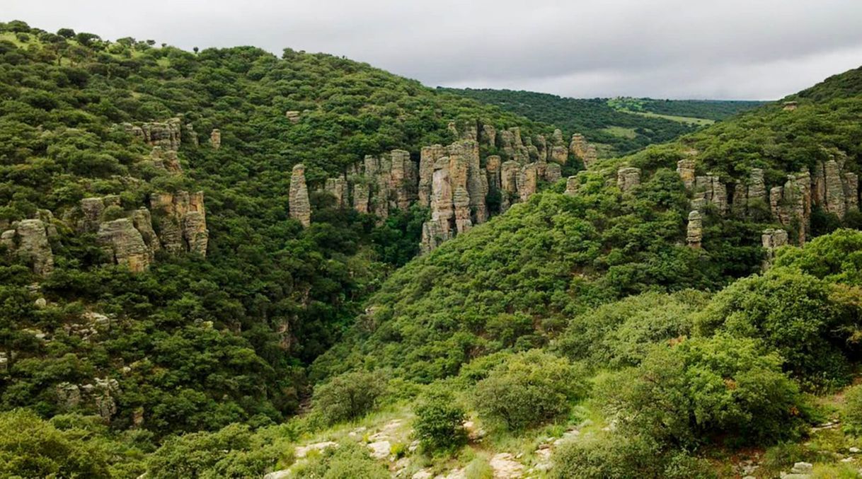 Restaurantes Sierra de Lobos