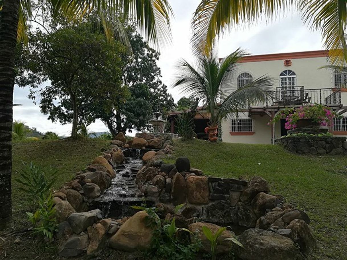 Restaurantes Los Lechones de Lucía