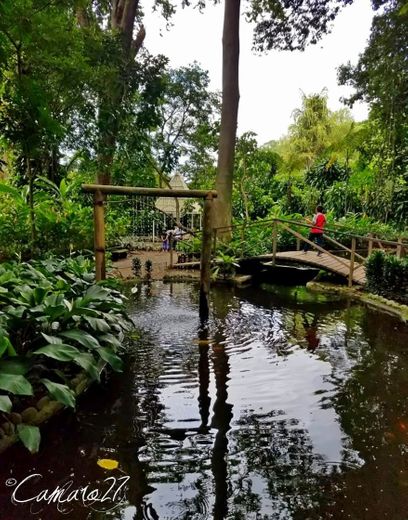 Jardín Botánico La Laguna