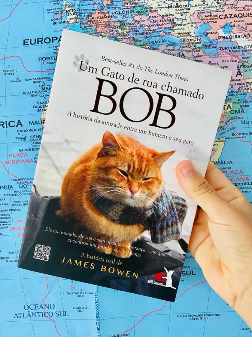 Book Um Gato de Rua Chamado Bob