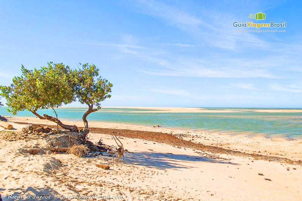 Lugar Praia de Macapá