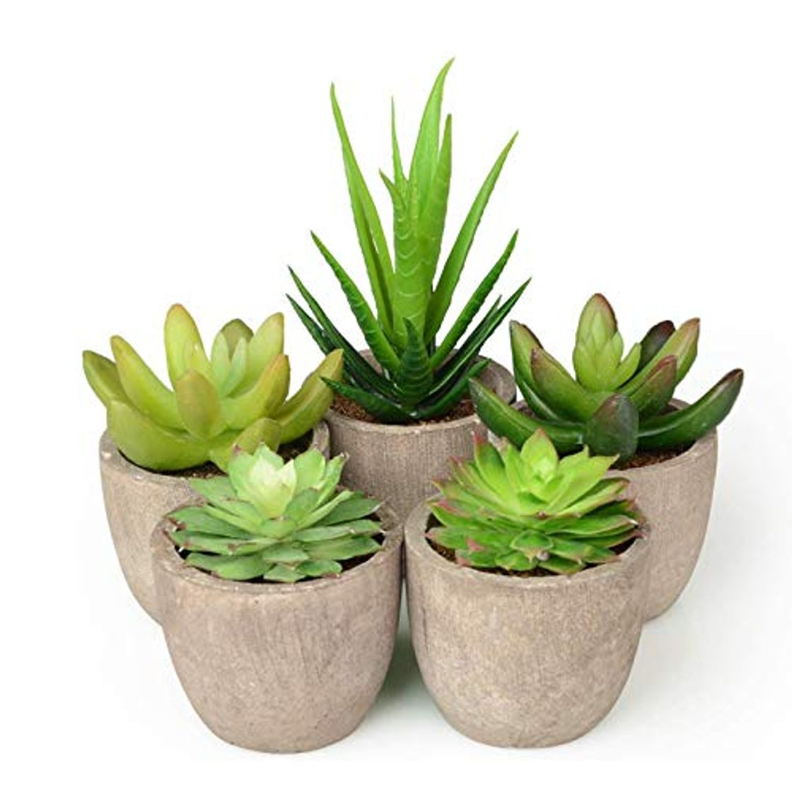 Place Abree Plantas Suculentas Artificiales 5PCS Jardinera Suculenta Falso Plantas de Cactus Faux