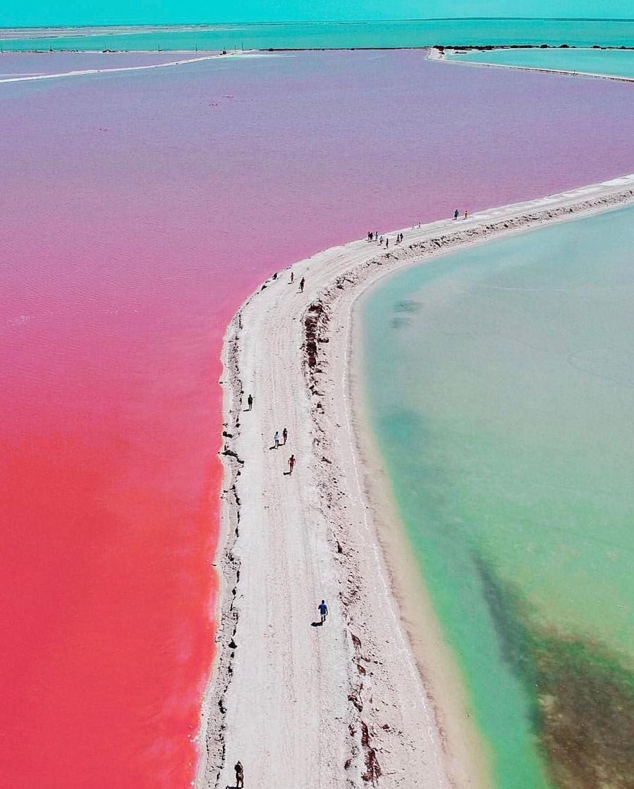 Lugar The Coloradas