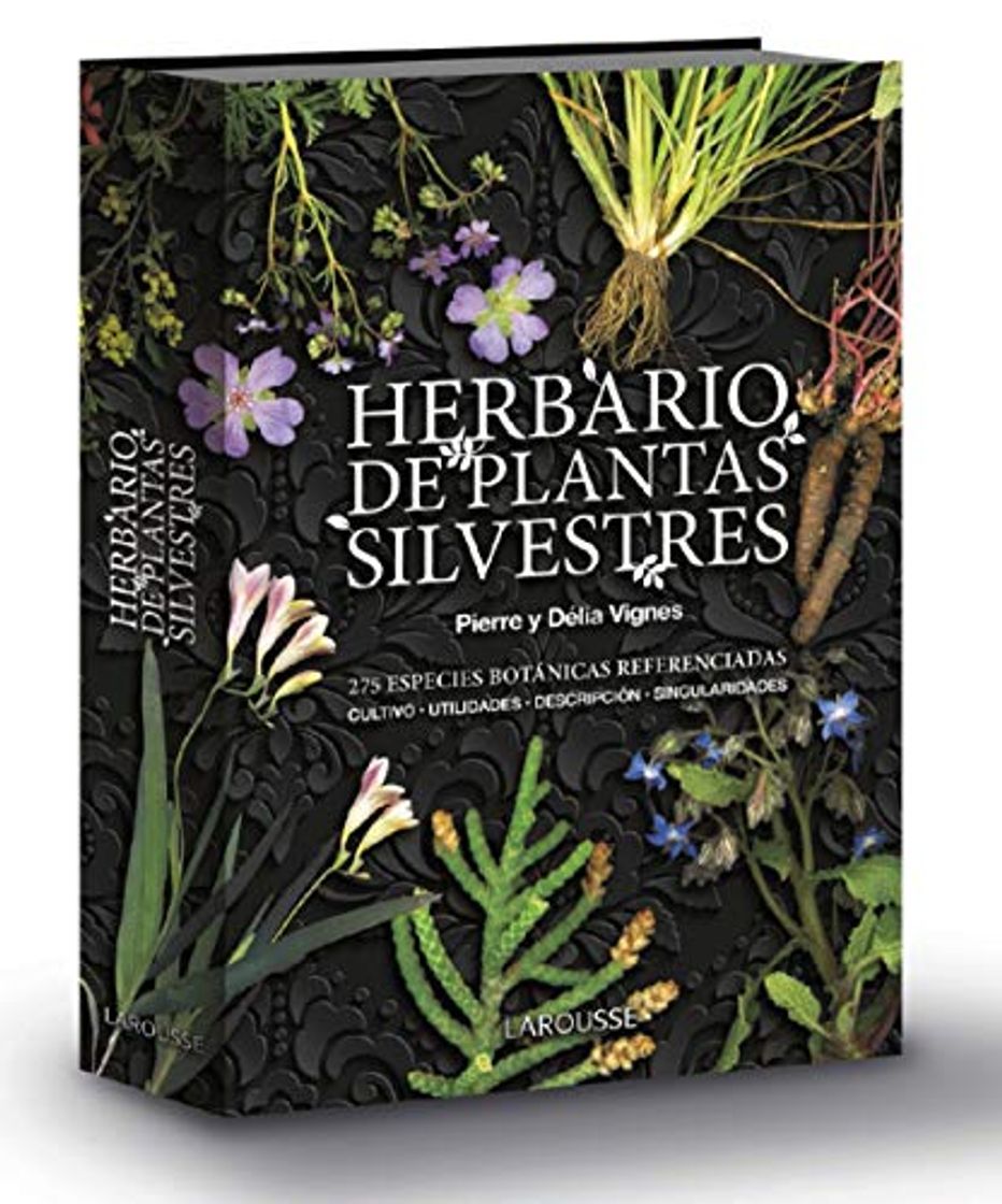 Book Herbario de plantas silvestres