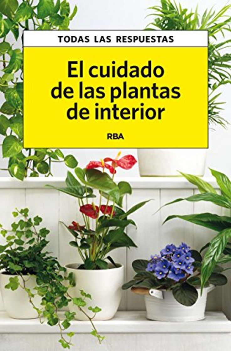 Book El cuidado de las plantas de interior