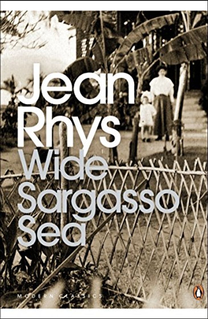 Libro Wide Sargasso Sea: Student Edition