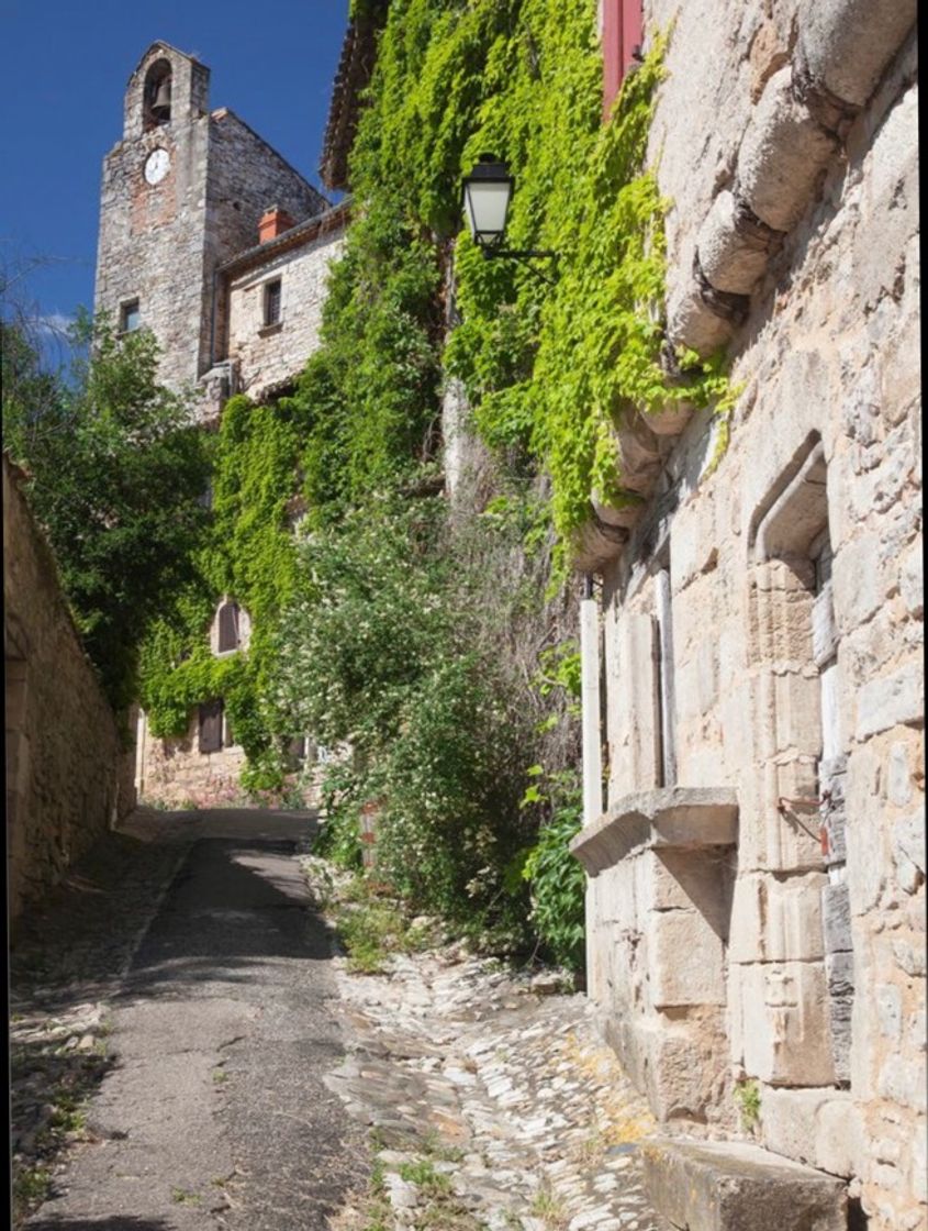 Moda Tarn et Garonne