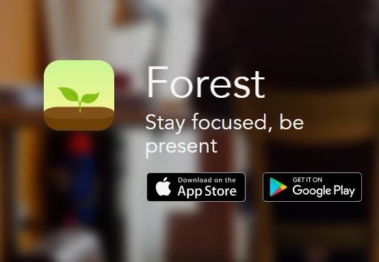 Fashion Forest - Stay focused, be present