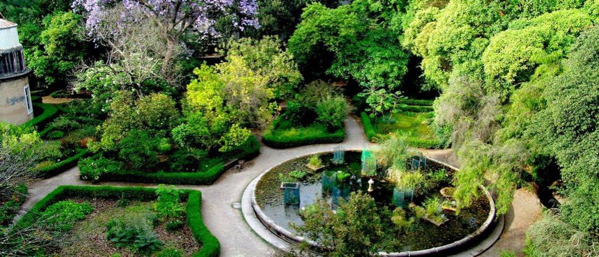 Place Tropical Botanical Garden