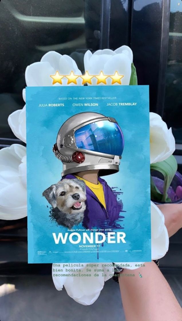 Movie Wonder