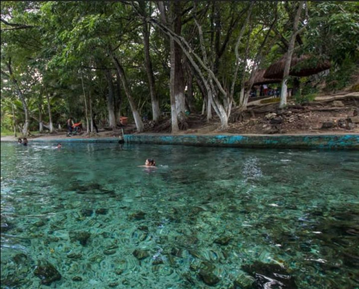 Lugar El palmar