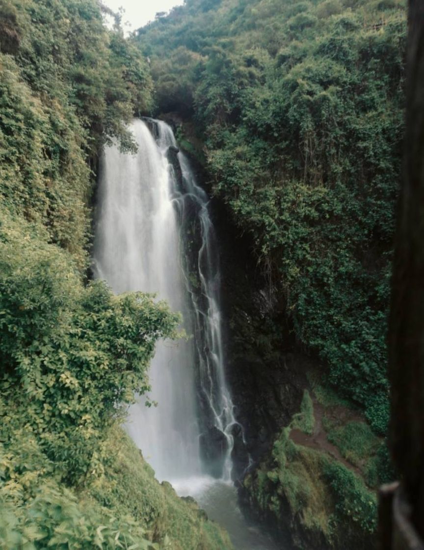 Lugar Cascada de Peguche, Otavalo