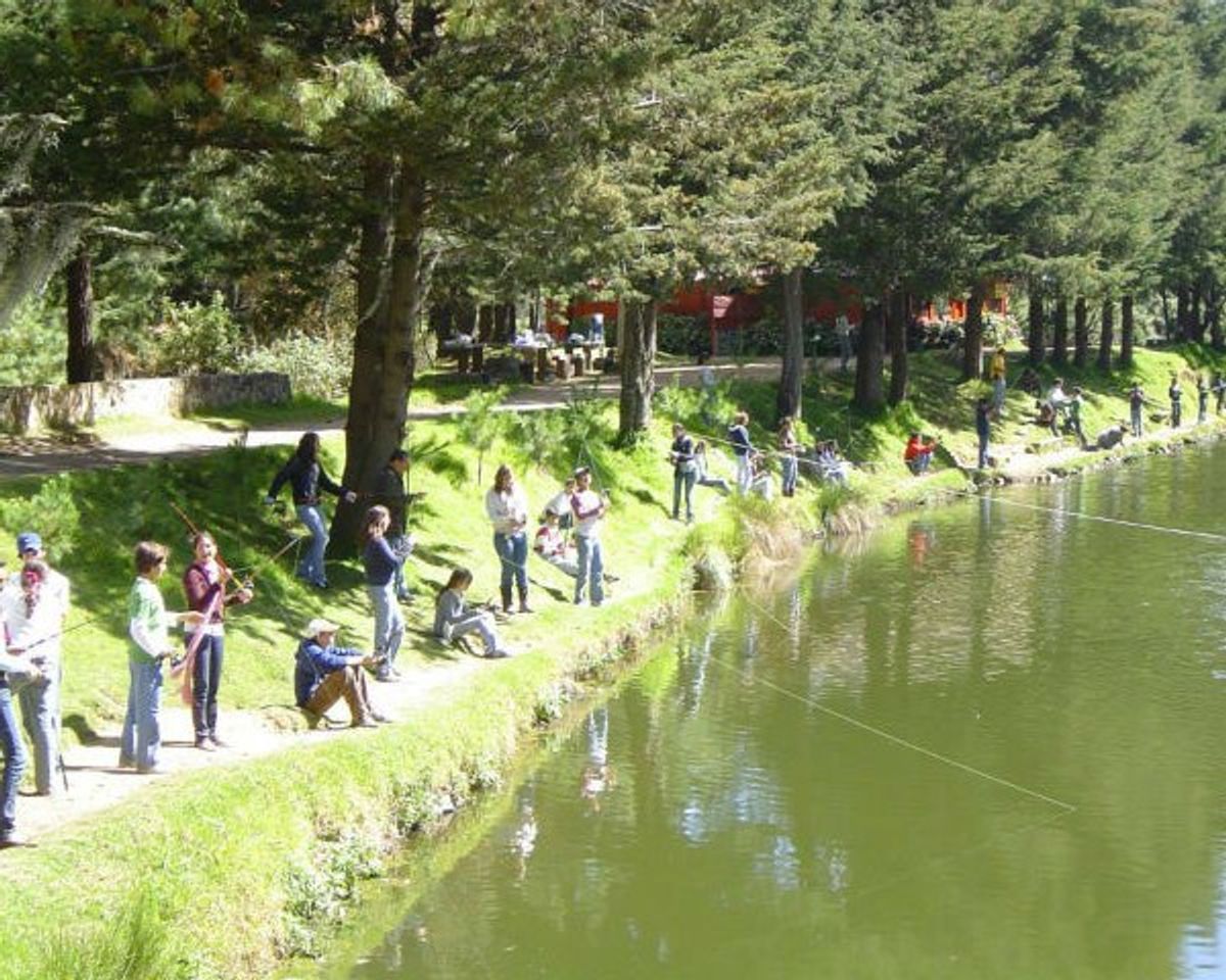 Restaurants Las truchas