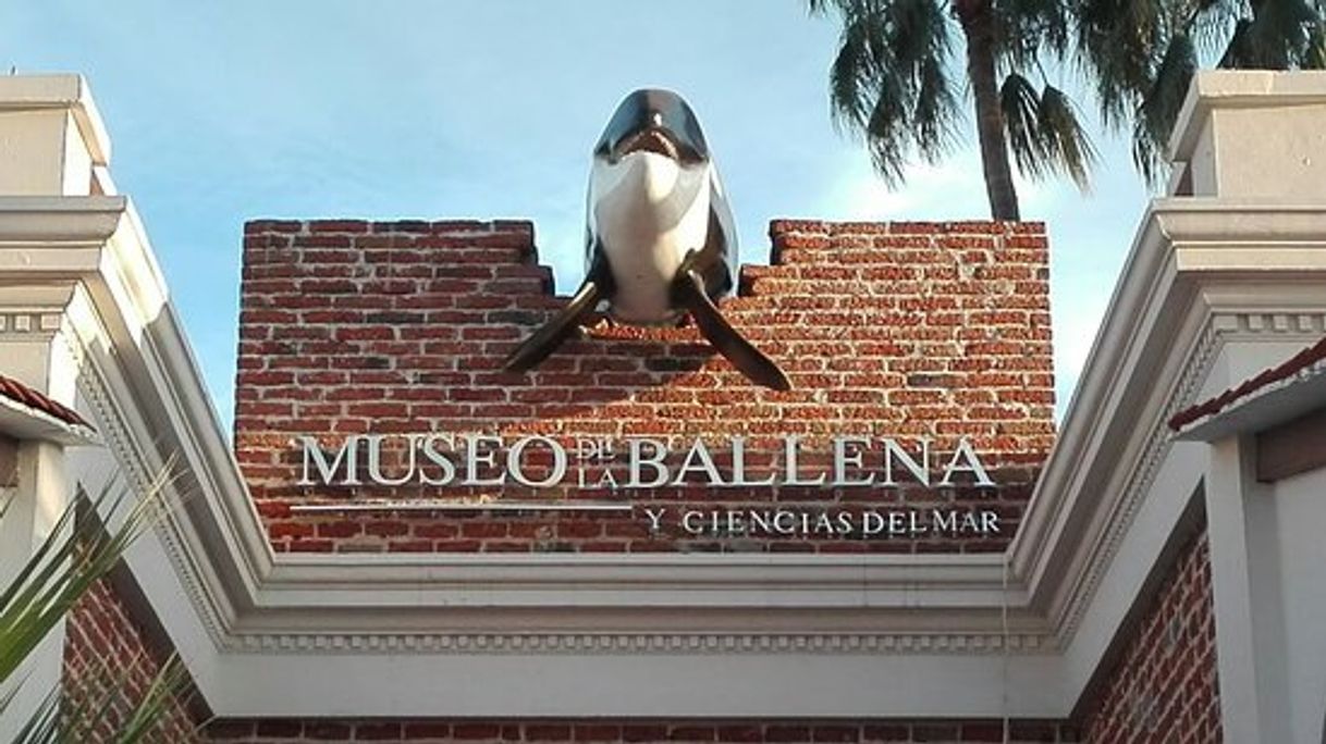 Place Museo de la Ballena y Ciencias del Mar