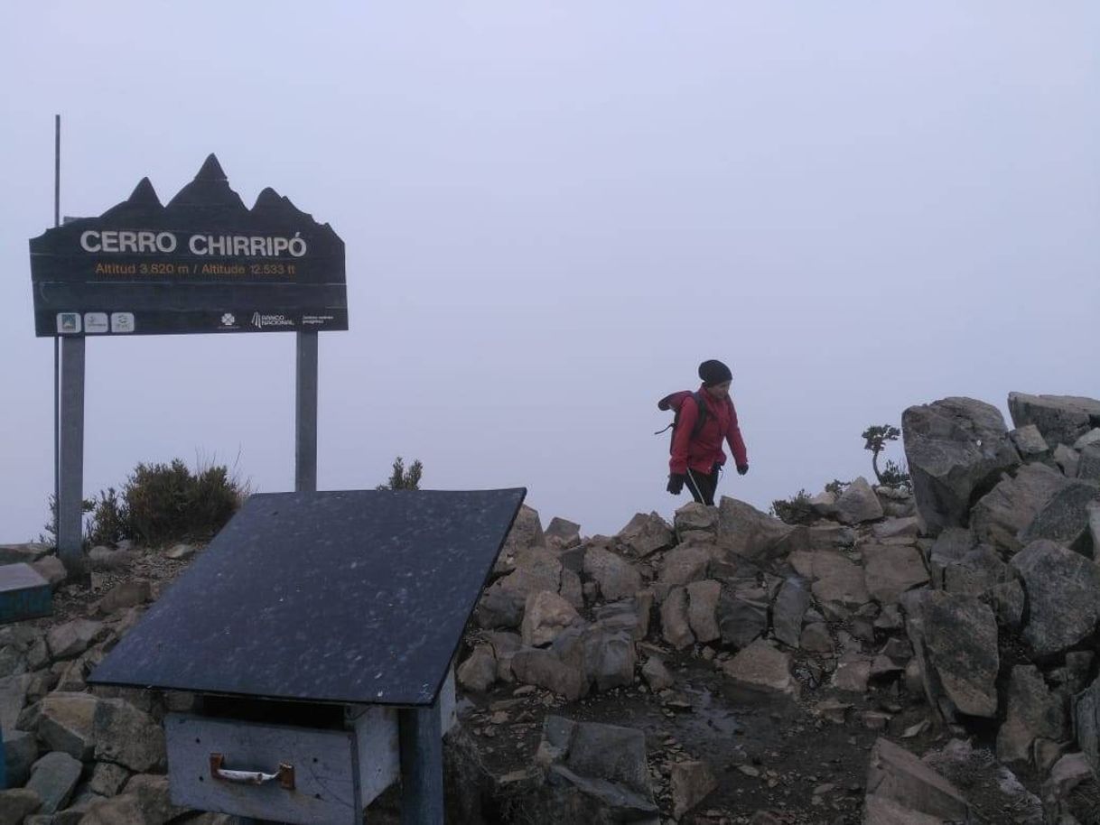 Place Chirripó National Park