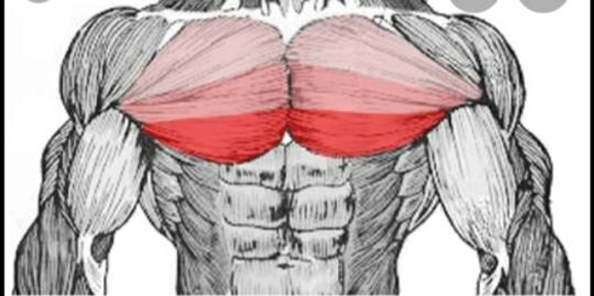 Rutina de pectorales