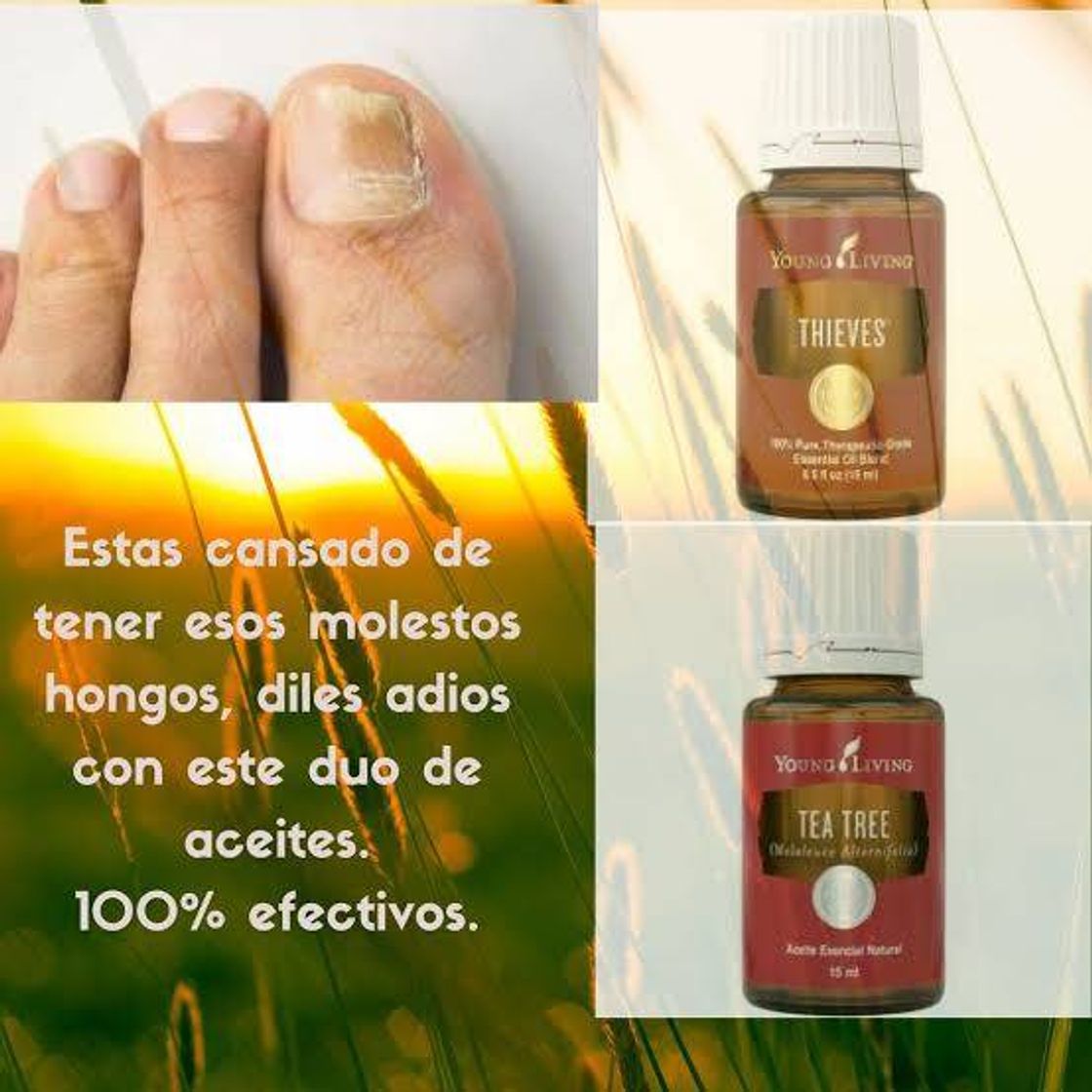 Fashion Trata de manera natural tus molestias. Young Living 