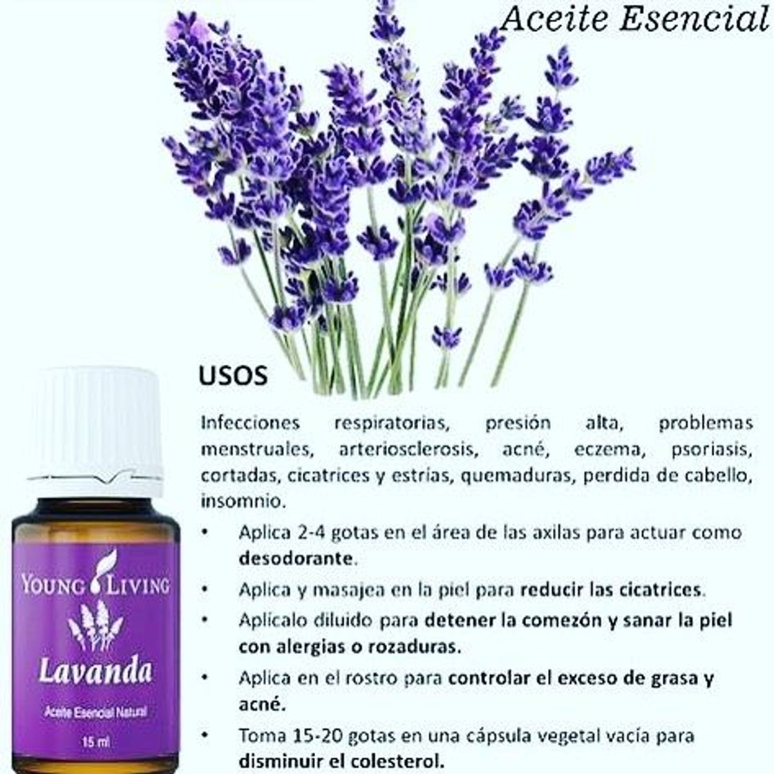 Fashion Aceite YL Lavanda