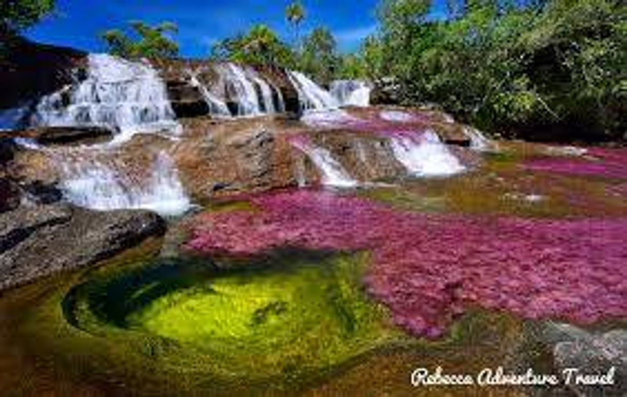 Lugar Caño Cristales