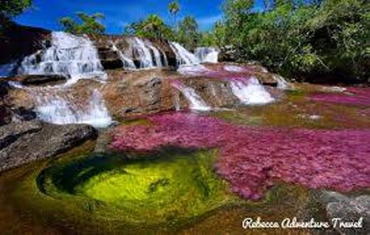 Caño Cristales