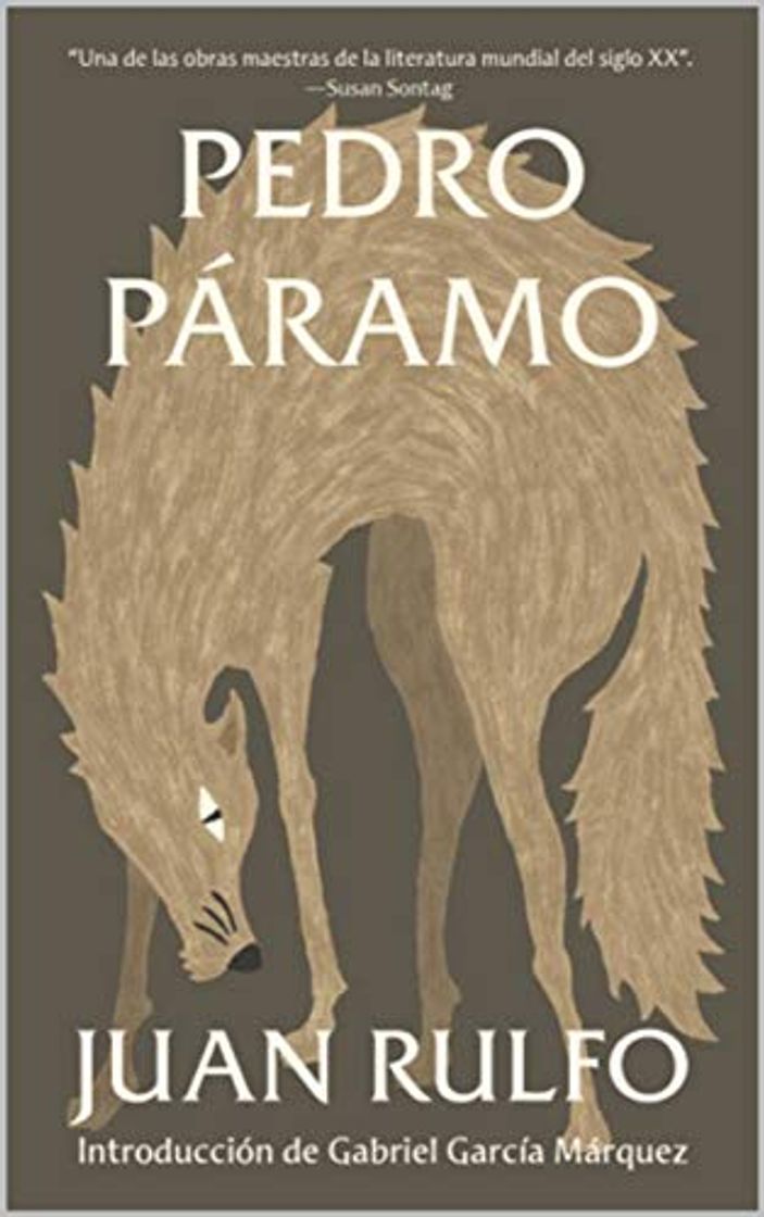 Libro Pedro Páramo