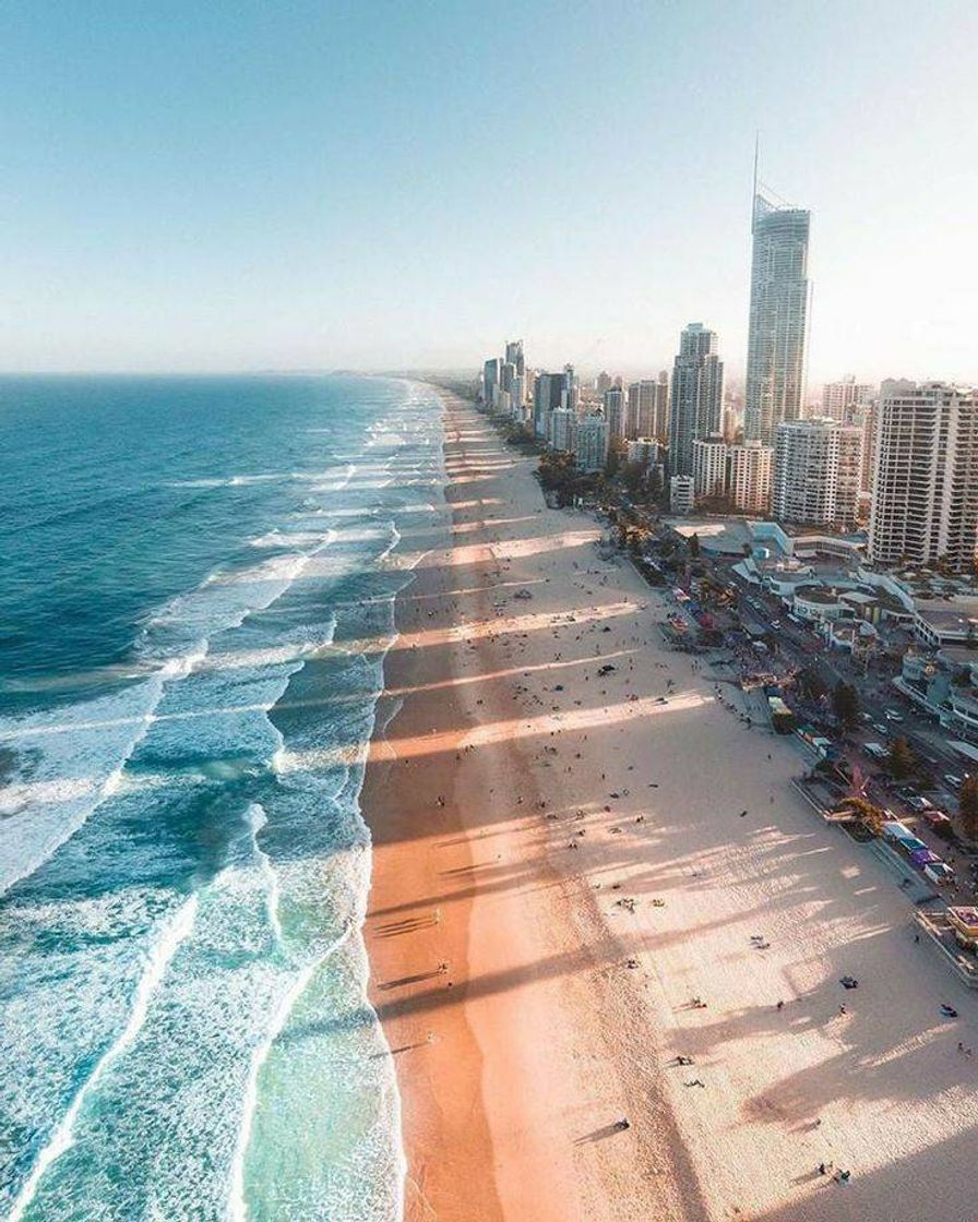 Social Gold Coast