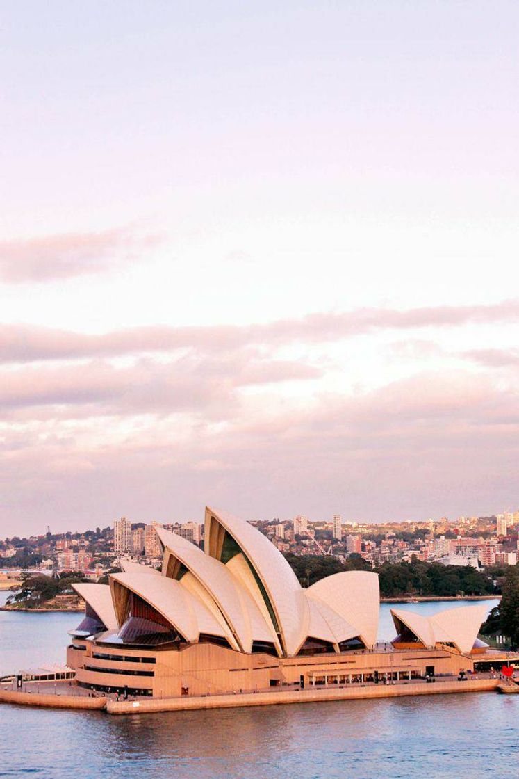 Social Sydney 