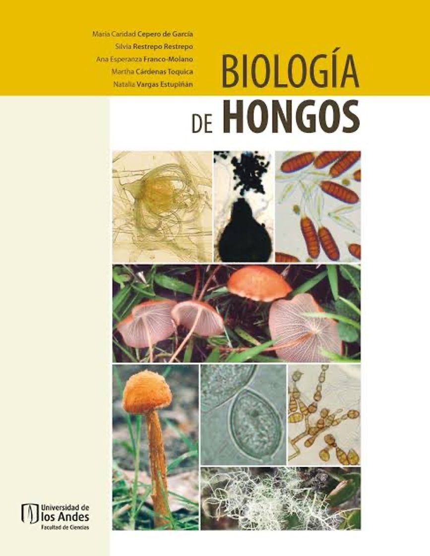 Book Biología de Hongos