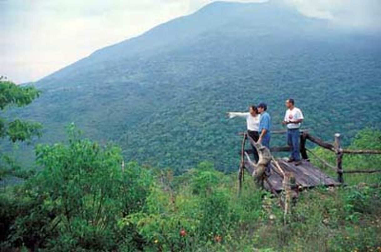 Lugar El Terrero