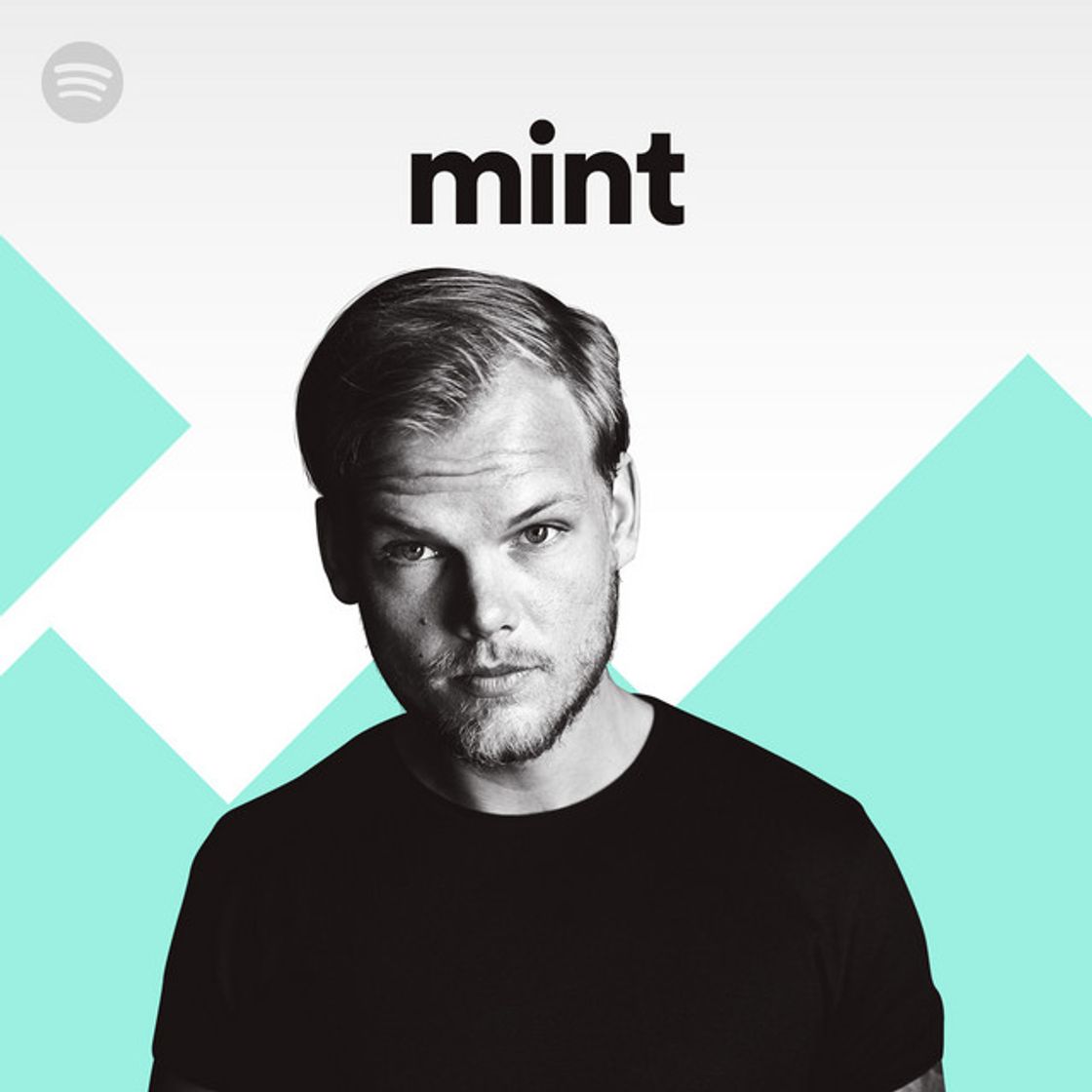 Music Avicii = mint