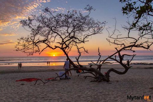 Playa Avellanas