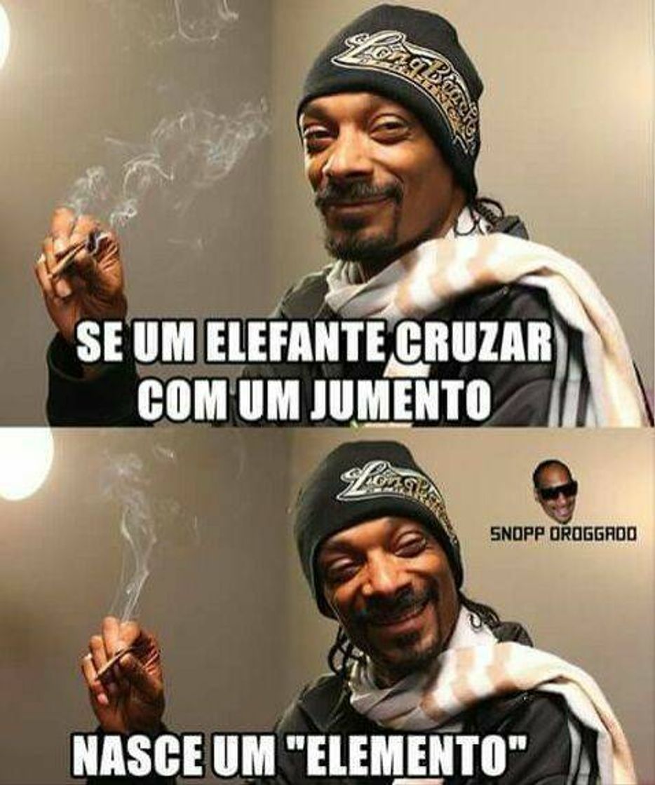 Fashion Snoop "São" 