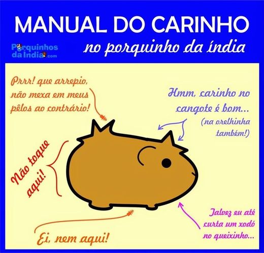 carinho!