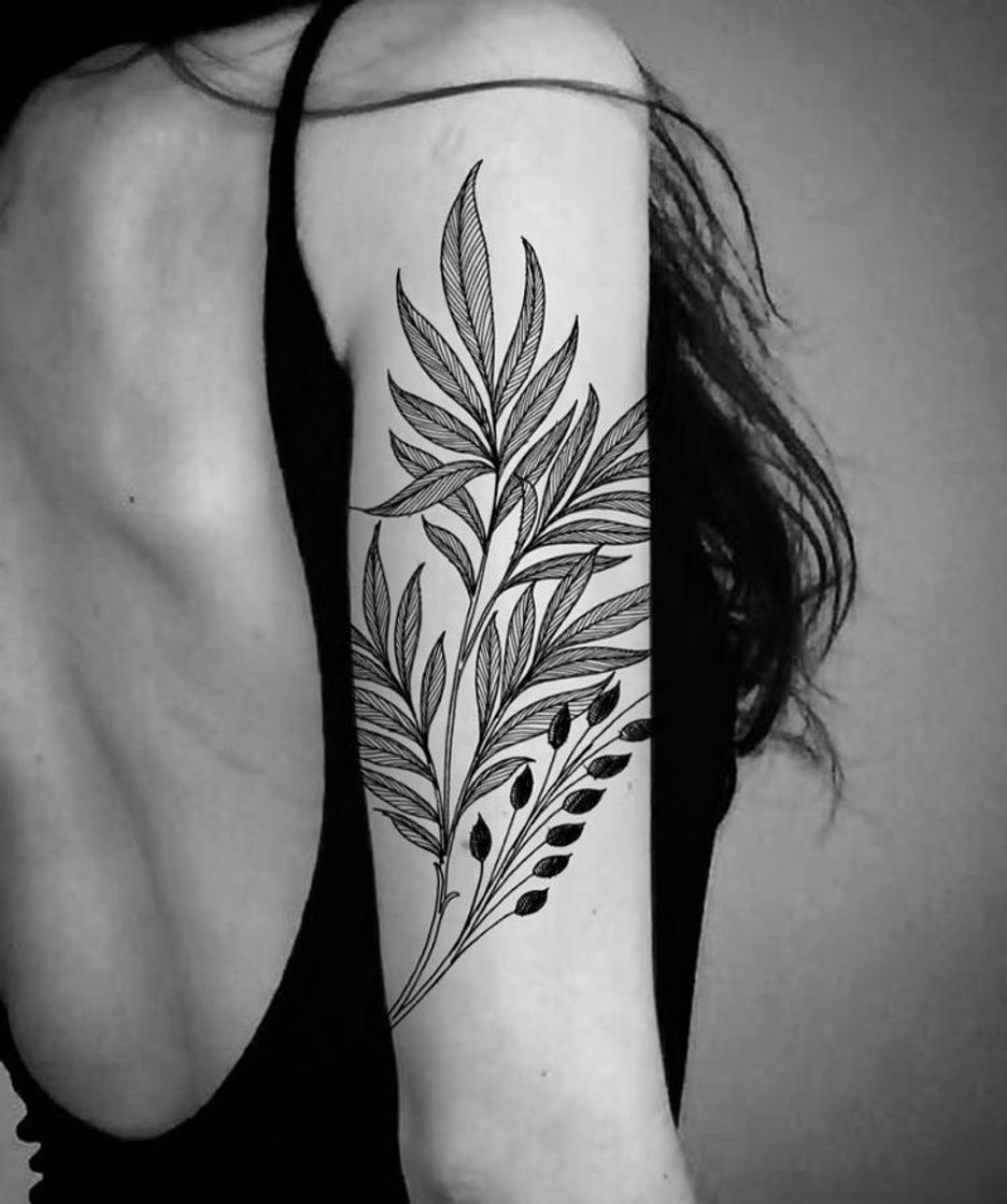 Moda Inspirações de Tattoo